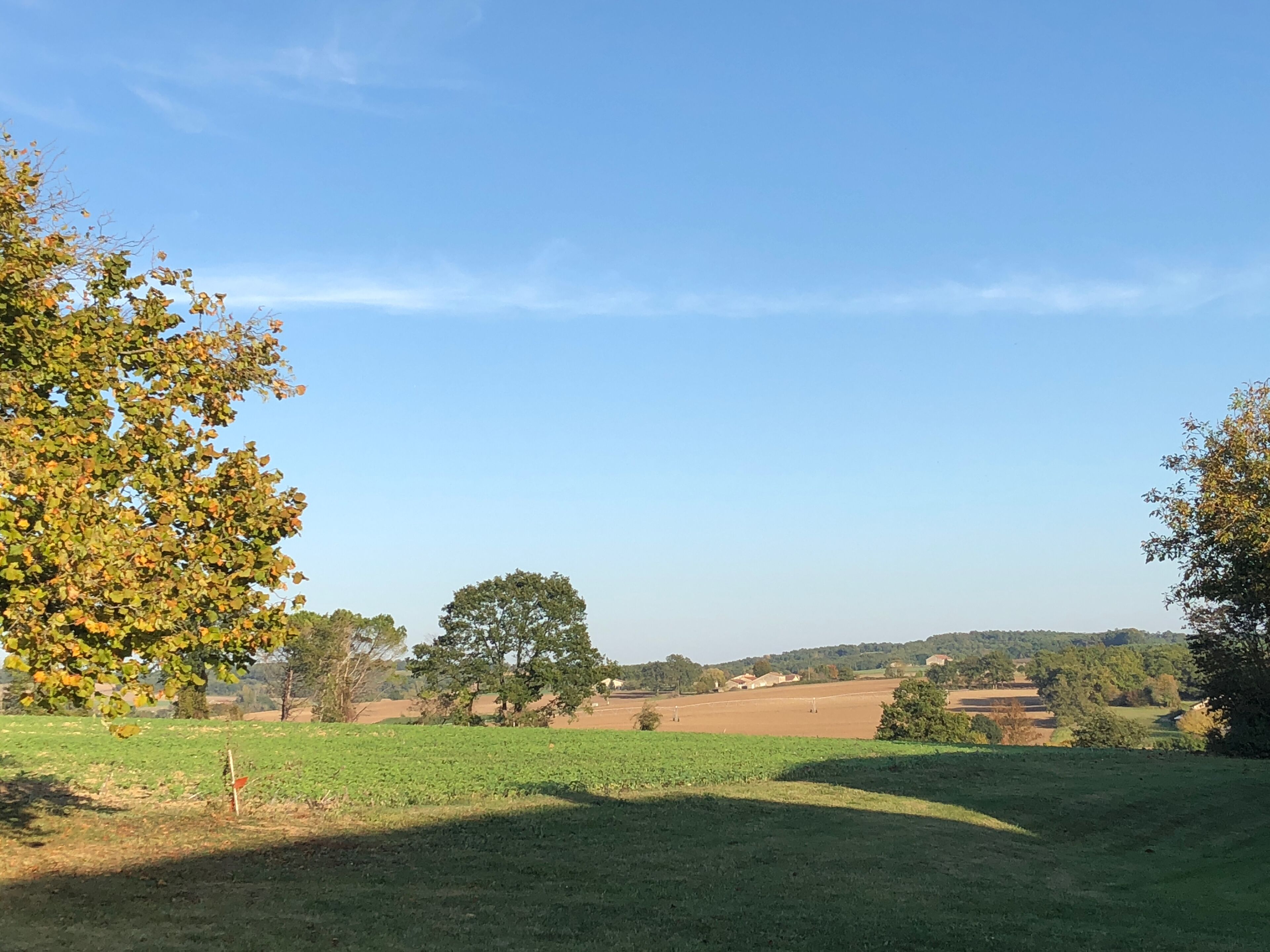 A rural landscape with open fields, trees, and a clear sky.