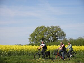 Nicht klassifiziertes Bild, 5 von 20, Schaltfläche