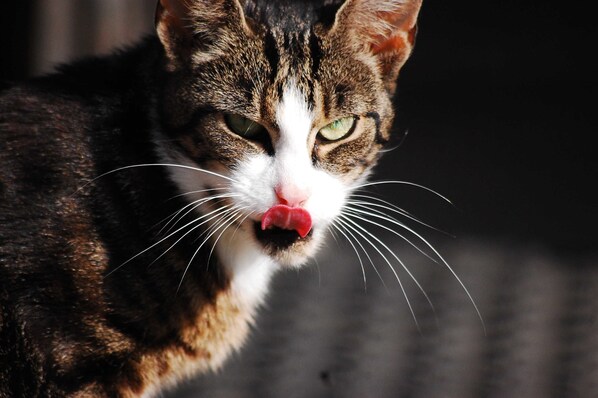 Unclassified image, 1 of 20, button