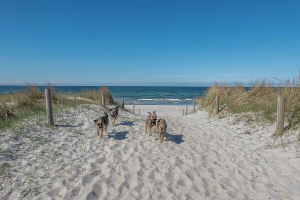 Beach nearby, sun loungers