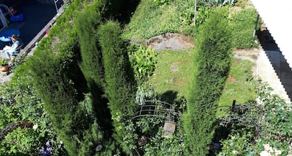 lovely living ambience, 3 rooms absolutely quiet in the center, 4 km Heidelberg