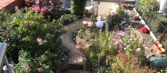 dejlig levende atmosfære, 3 værelser helt stille i centrum, 4 km Heidelberg