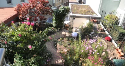 lovely living ambience, 3 rooms absolutely quiet in the center, 4 km Heidelberg