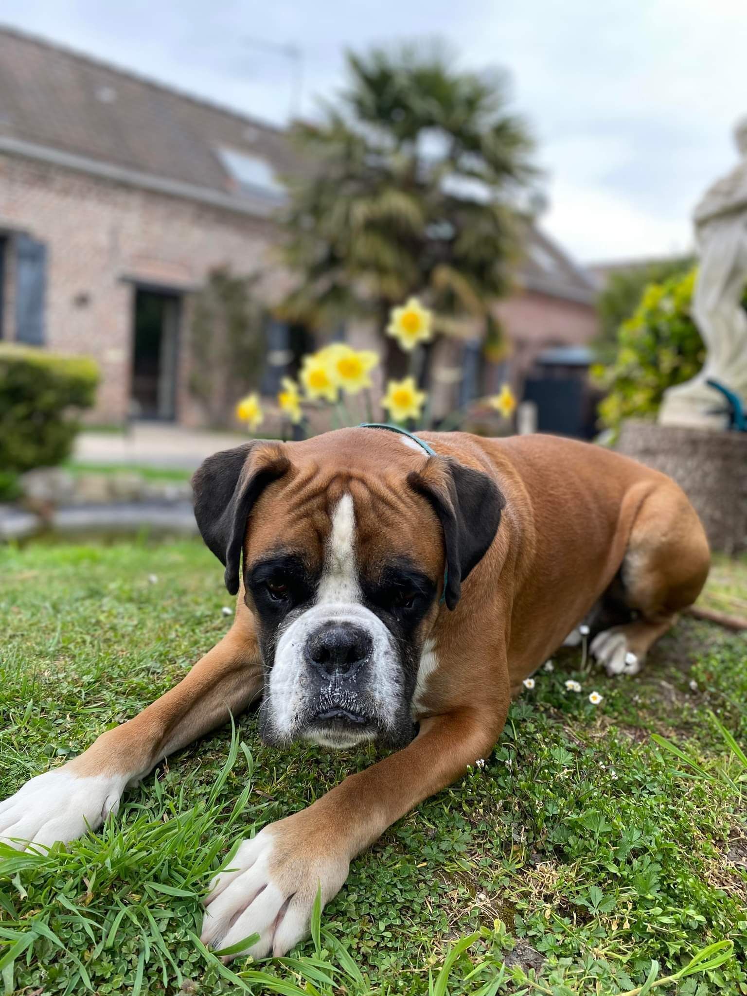 Photo - secret d une nuit chambres d hotes ,hotel ,a vicq prės de onnaing,avec piscine