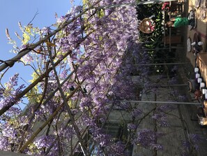 Exterior - Hui Gu Ming (Meishan)