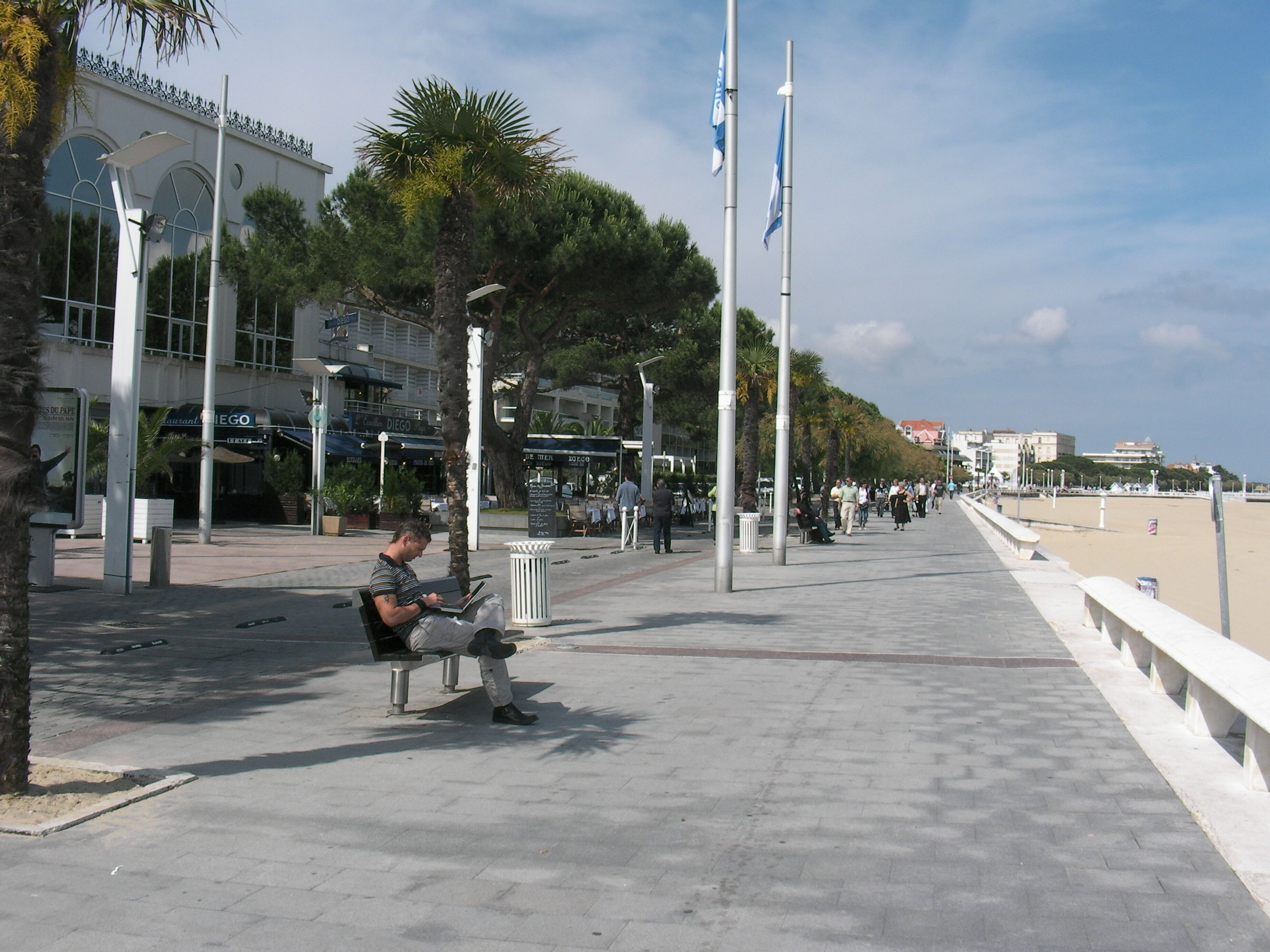 A paved walkway with benches, palm trees, and flags.