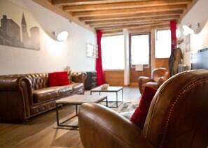 TV, books, stereo - Town house at the foot of the abbey restored in a loft spirit with garden! (Tournus)