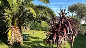 Un jardin bien entretenu, avec un palmier, une grande plante à feuilles luxuriantes et un banc vert.