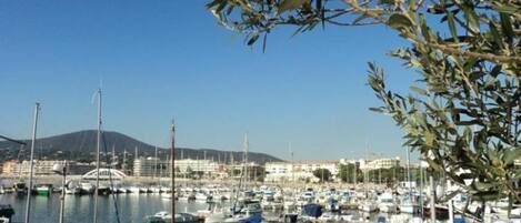 Marina