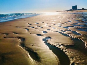Plage, chaises longues, serviettes de plage