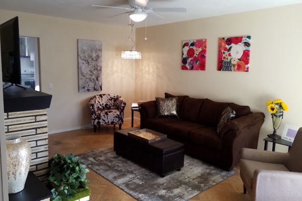 The  250 SF Living Room with New Furnitures