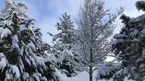 A snow-covered landscape with trees and a clear sky. - Historic Belle Millhouse in Bend, OR.  Walk to Downtown.vrbo (Bend)