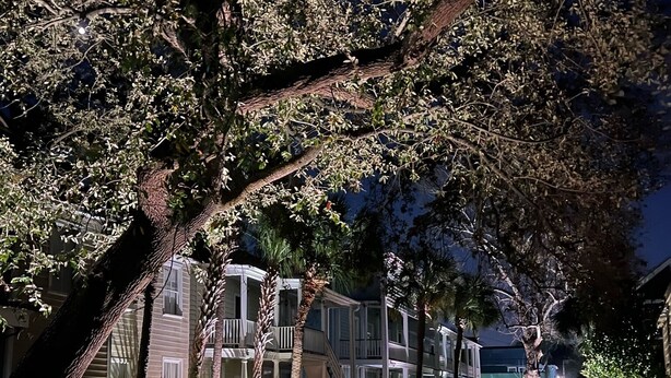 A row of colonial-style buildings with balconies, a paved walkway, and well-maintained landscaping. - AWESOME PROPERTY, GREAT DOWNTOWN CHARLESTON LOCATION! Sleeps 10 (Charleston)