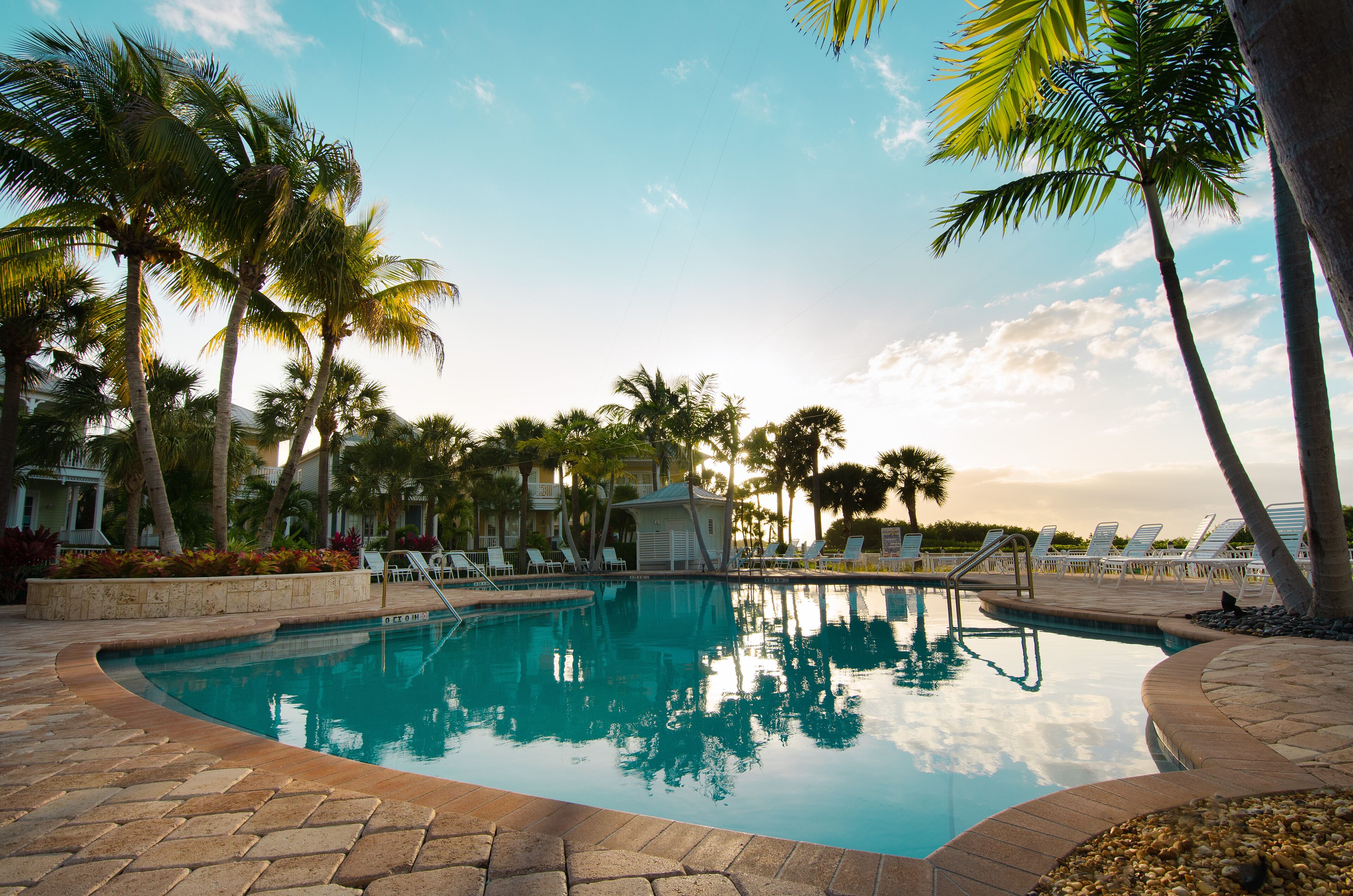 A swimming pool surrounded by palm trees and lounge chairs, with a clear sky above.