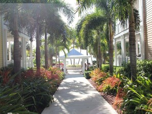Terrace/patio - Anglers Reef Islamorada 2/2.5 DOCK AVAILABLE Bikes, Kayak available, Pool (Islamorada)