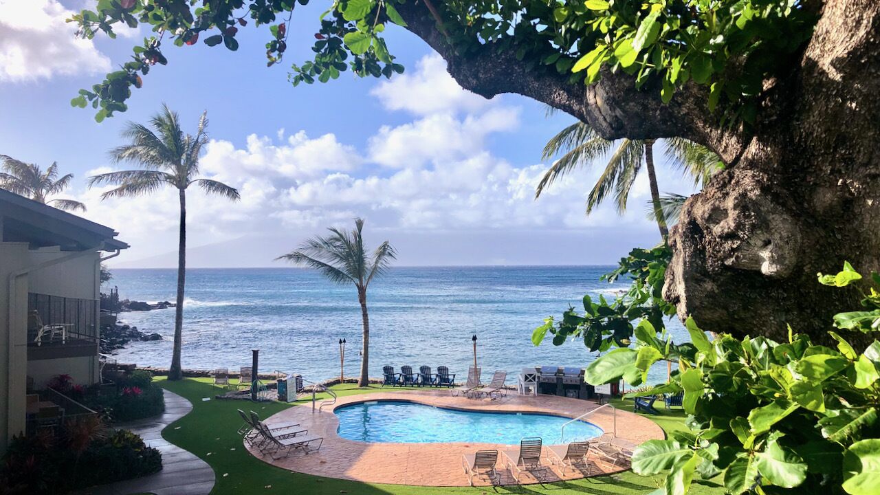 Unit #209-3BR/2 Bath: 3  BR, 2  BA Condominium in Lahaina, Sleeps 6