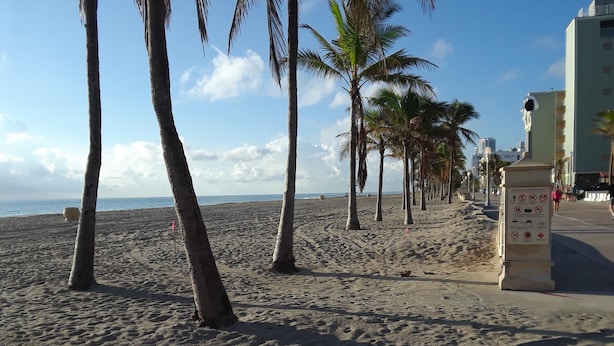 Una playa con palmeras y un cartel.