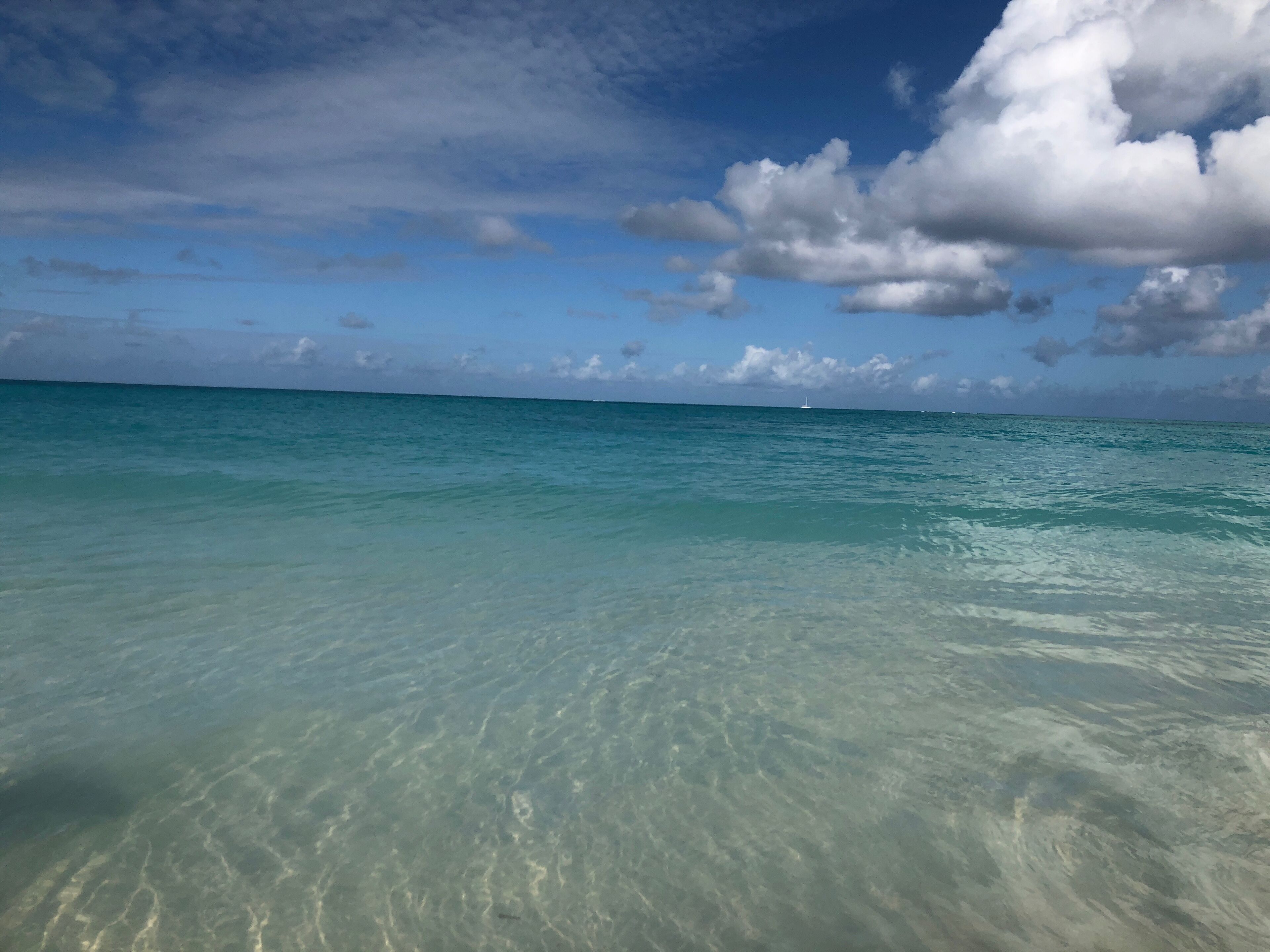 A clear view of the ocean with a distant sailboat.