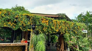 A café with a lush, green, vine-covered entrance and outdoor seating. - Room 9 Hometel (Pathio)