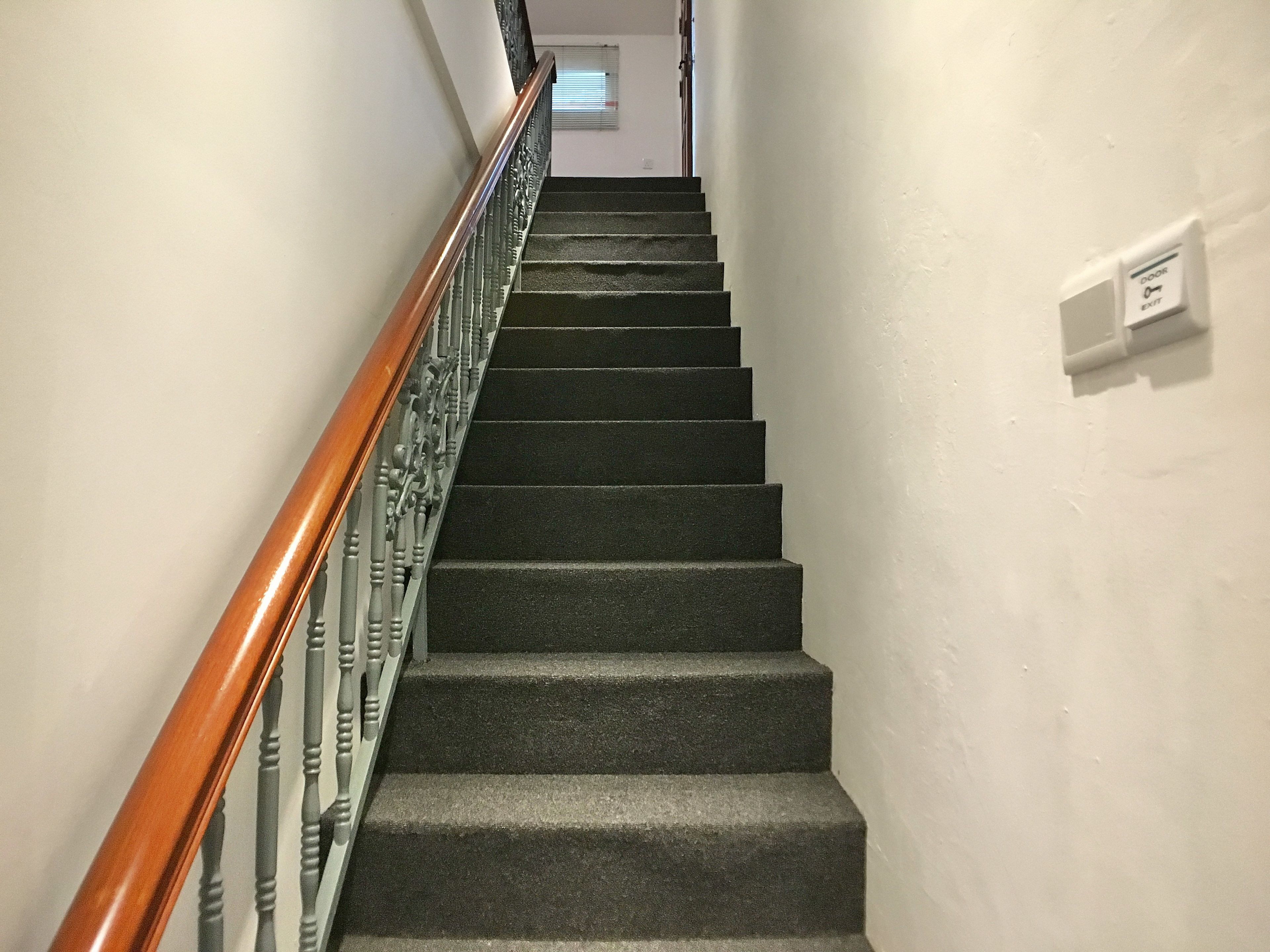 Una escalera con barandilla de madera y peldaños alfombrados que conduce a un rellano con una puerta y una ventana.