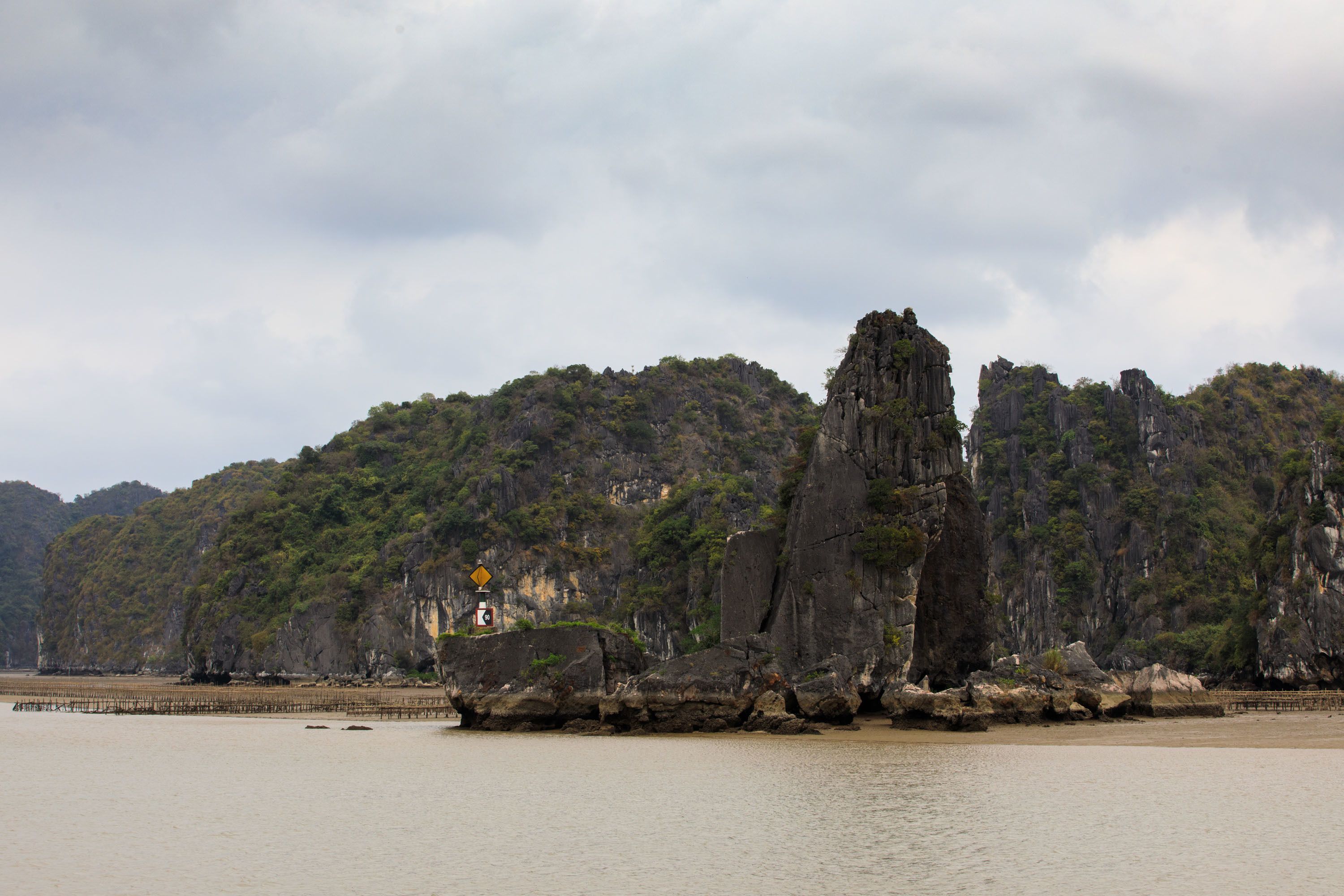 A coastal landscape with prominent rock formations and a dense forested hill in the background.