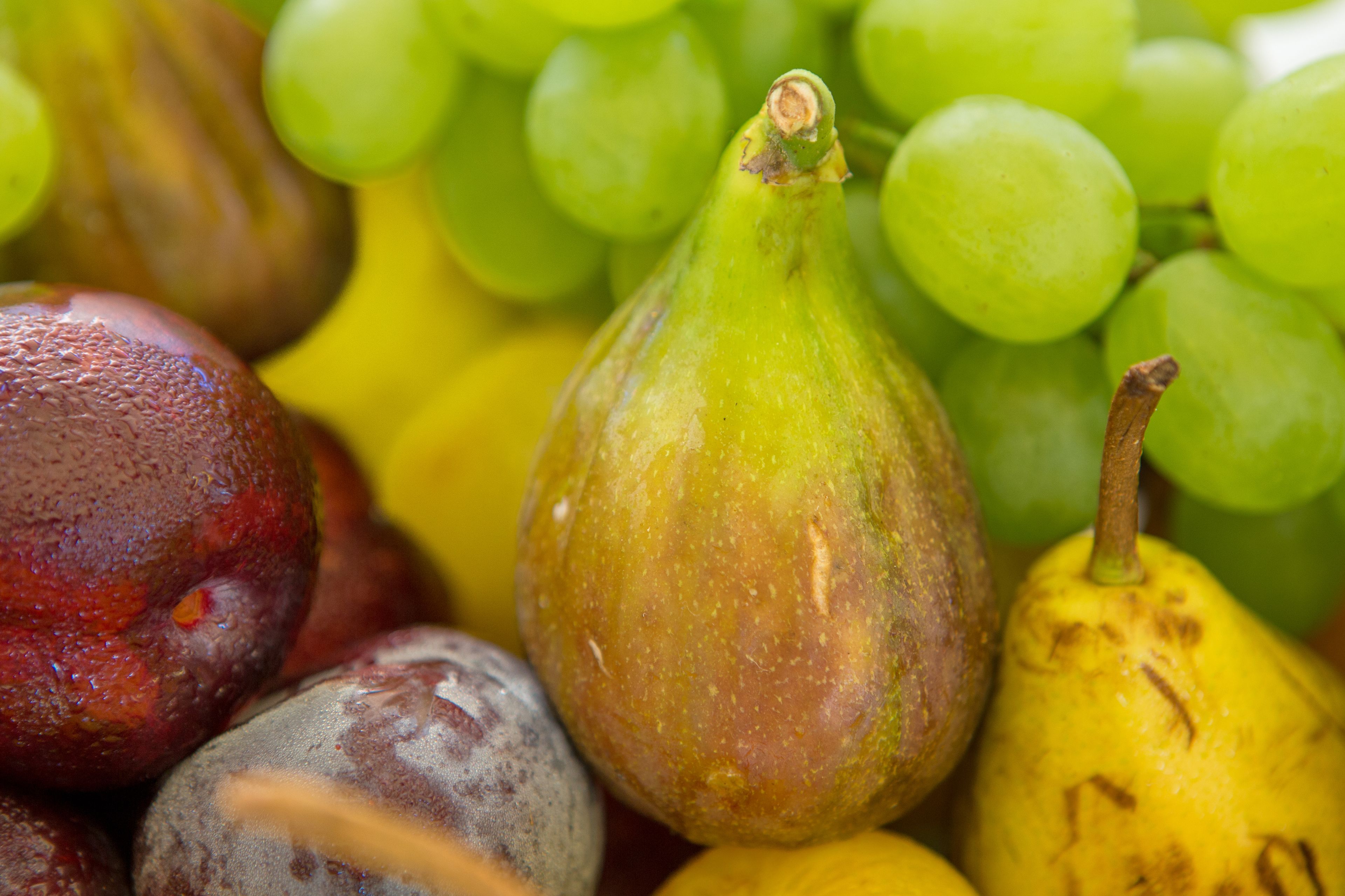 A close-up of various fruits including grapes, a pear, and plums.
