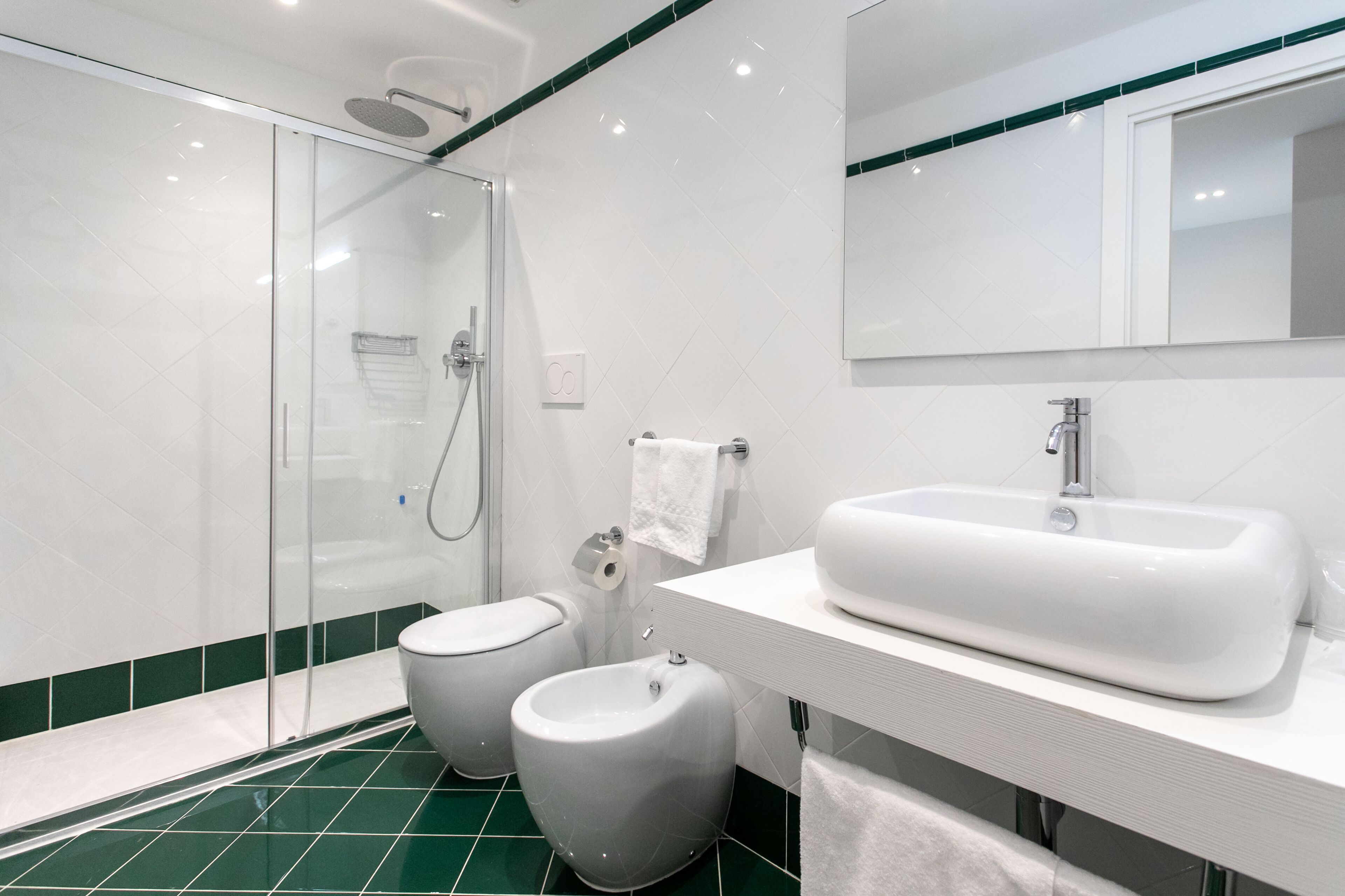 shower, free toiletries, hair dryer, bidet