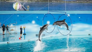 Children’s play area – outdoor