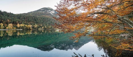 A calm lake with clear reflections of trees and mountains.