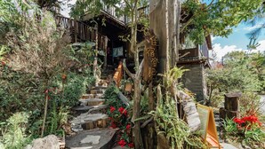 A rustic wooden staircase leading to a wooden building with a star-shaped decoration. - Yunnan Homestay (Ren'ai)