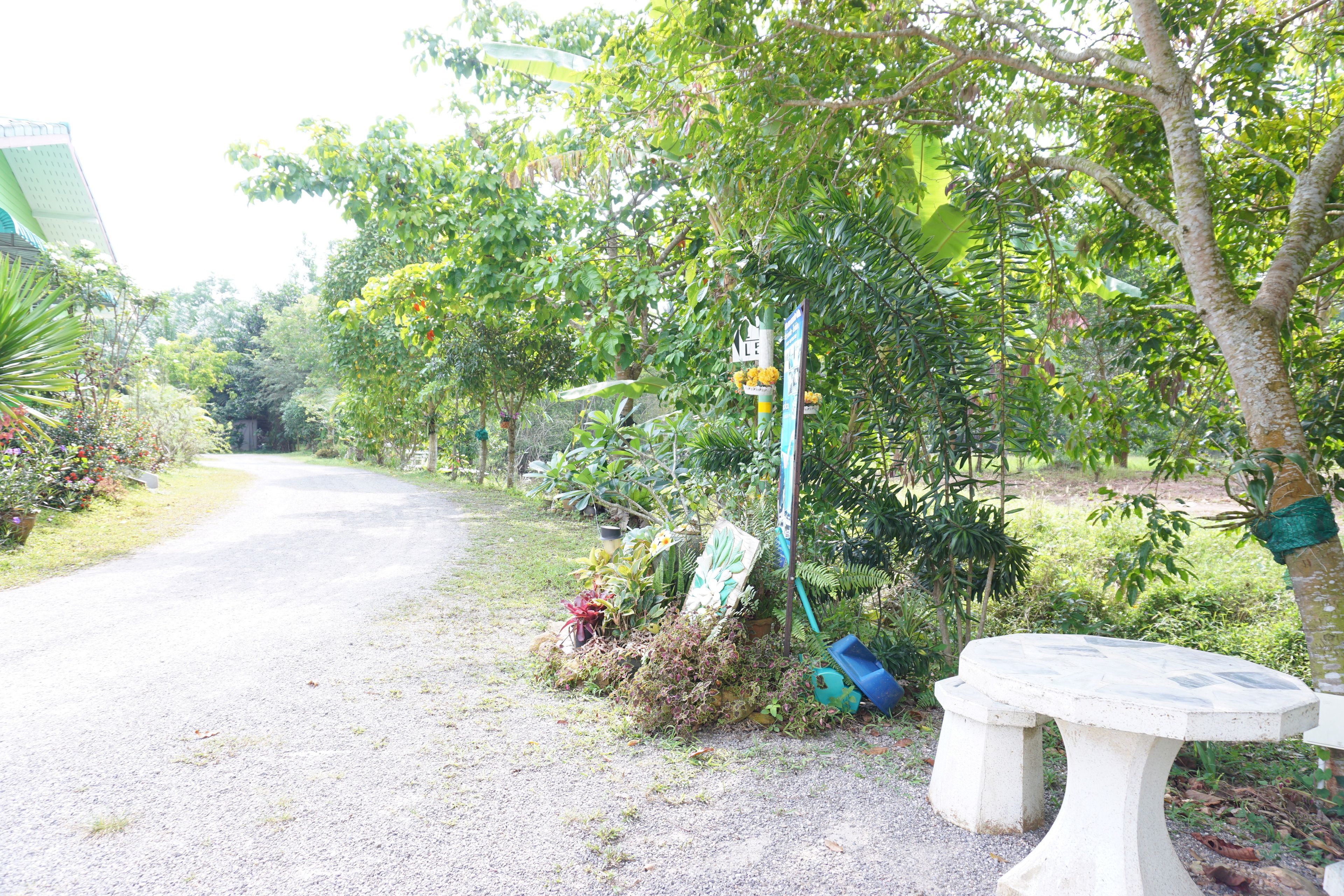 A gravel path leading through a garden with a white bench and a signpost.
