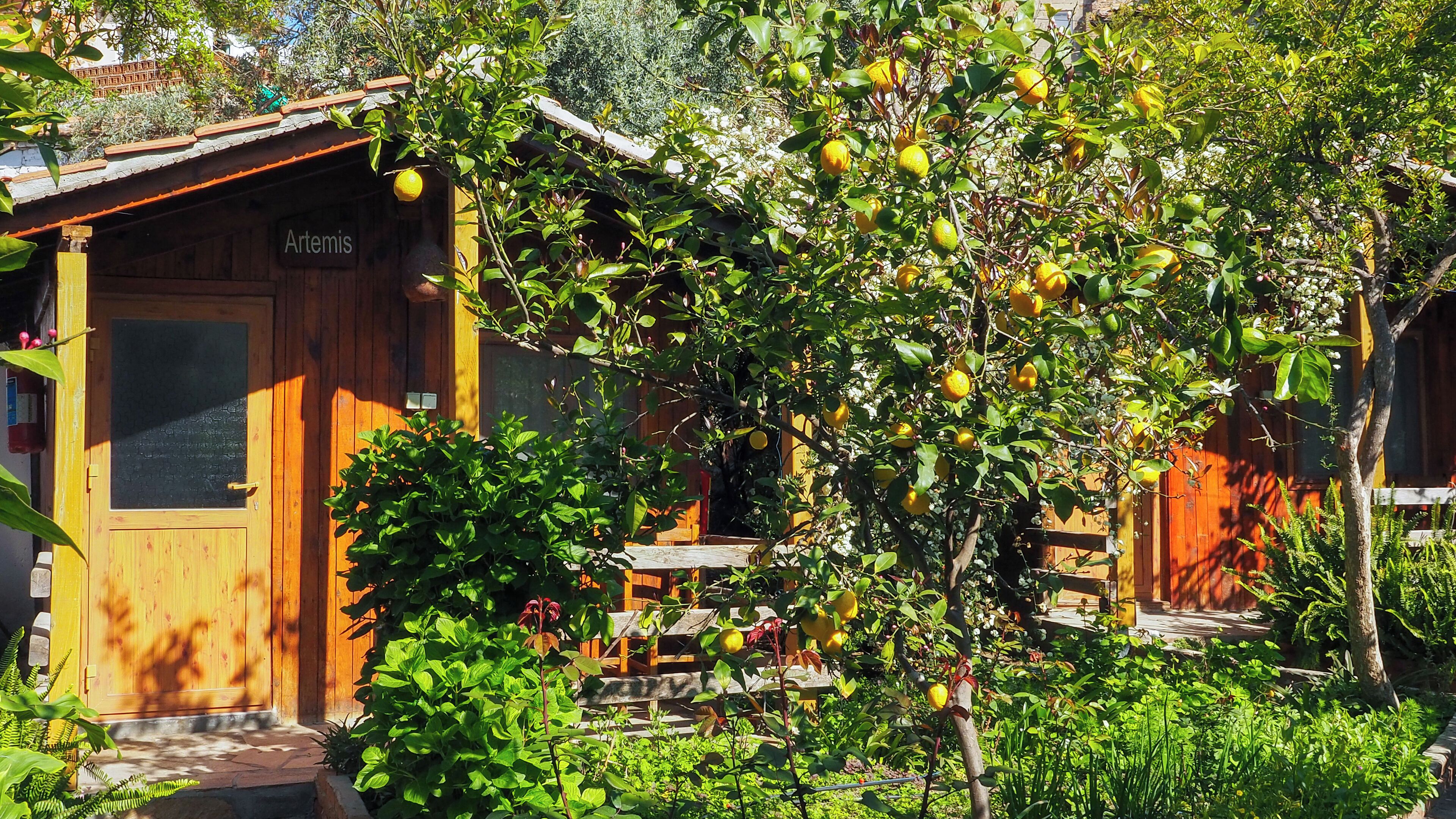 Economy Room, Garden View | Premium bedding, soundproofing, free WiFi, bed sheets