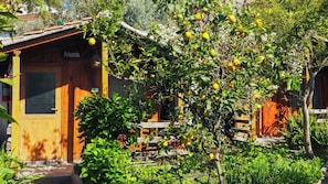 Economy Room, Garden View | Premium bedding, soundproofing, free WiFi, bed sheets