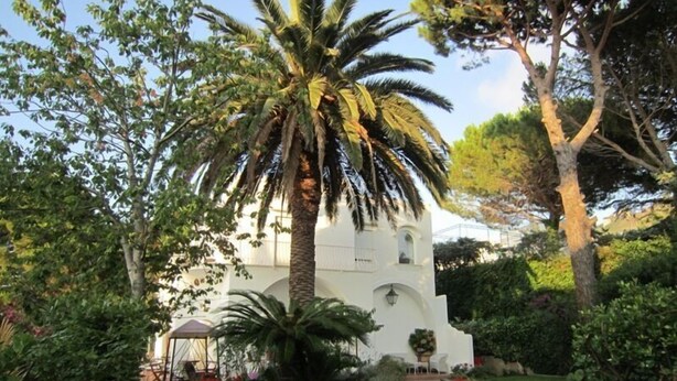A white building with a garden, including a palm tree and various plants. - B&B Il Sogno (Anacapri)