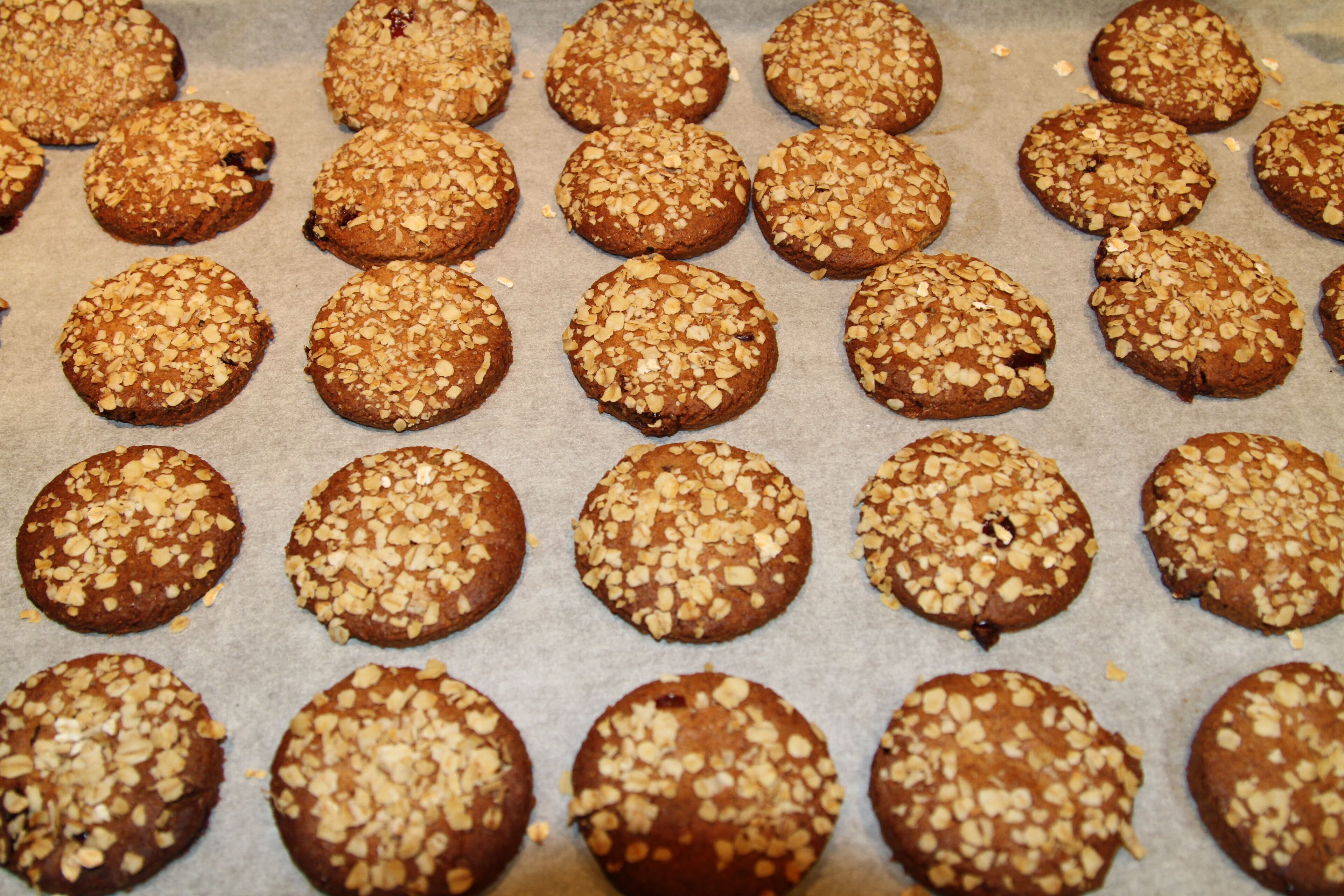 Una bandeja de galletas redondas con cobertura desmenuzable, probablemente caseras, dispuestas sobre papel de hornear.