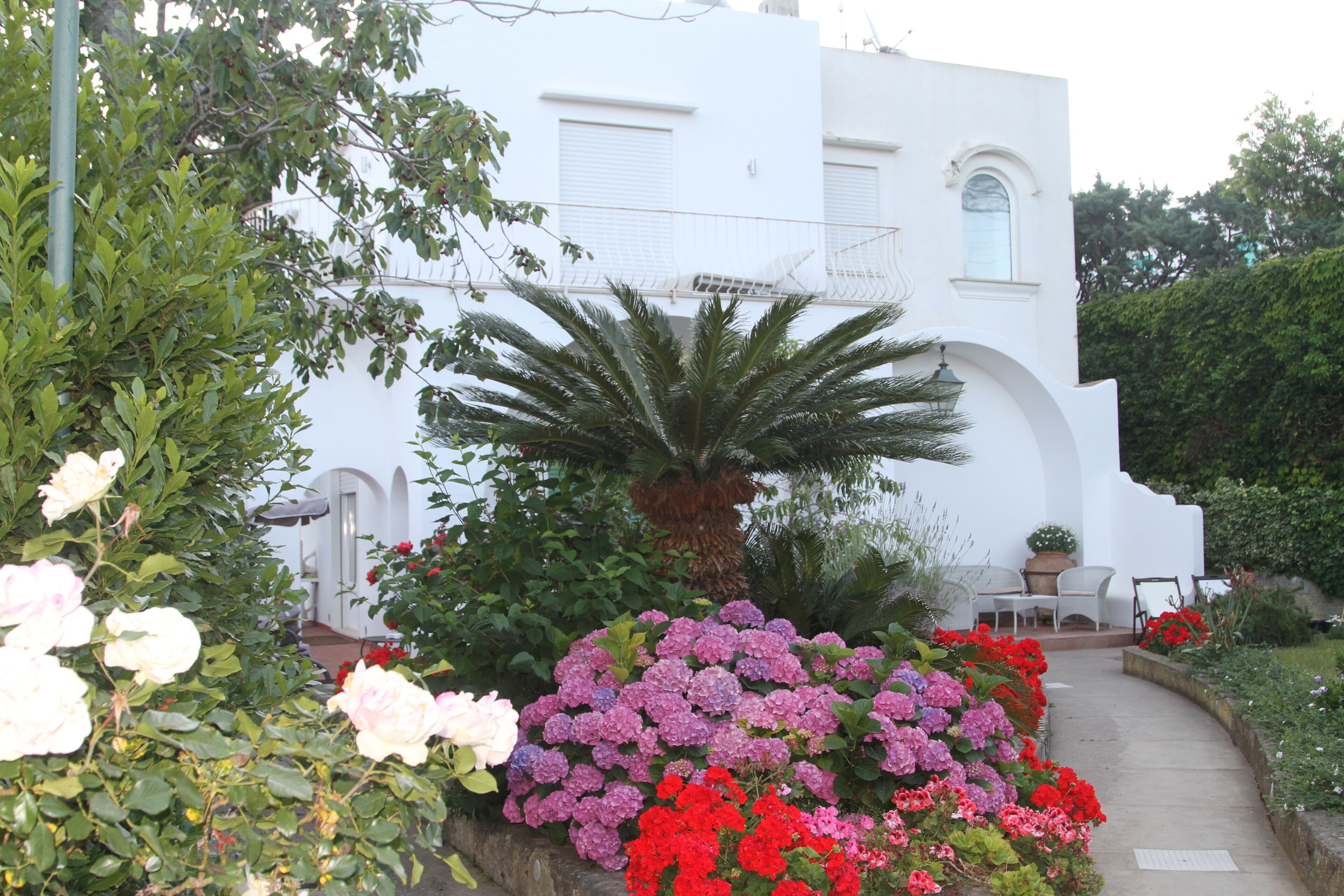 A white building with a balcony, surrounded by lush greenery and various flowering plants.