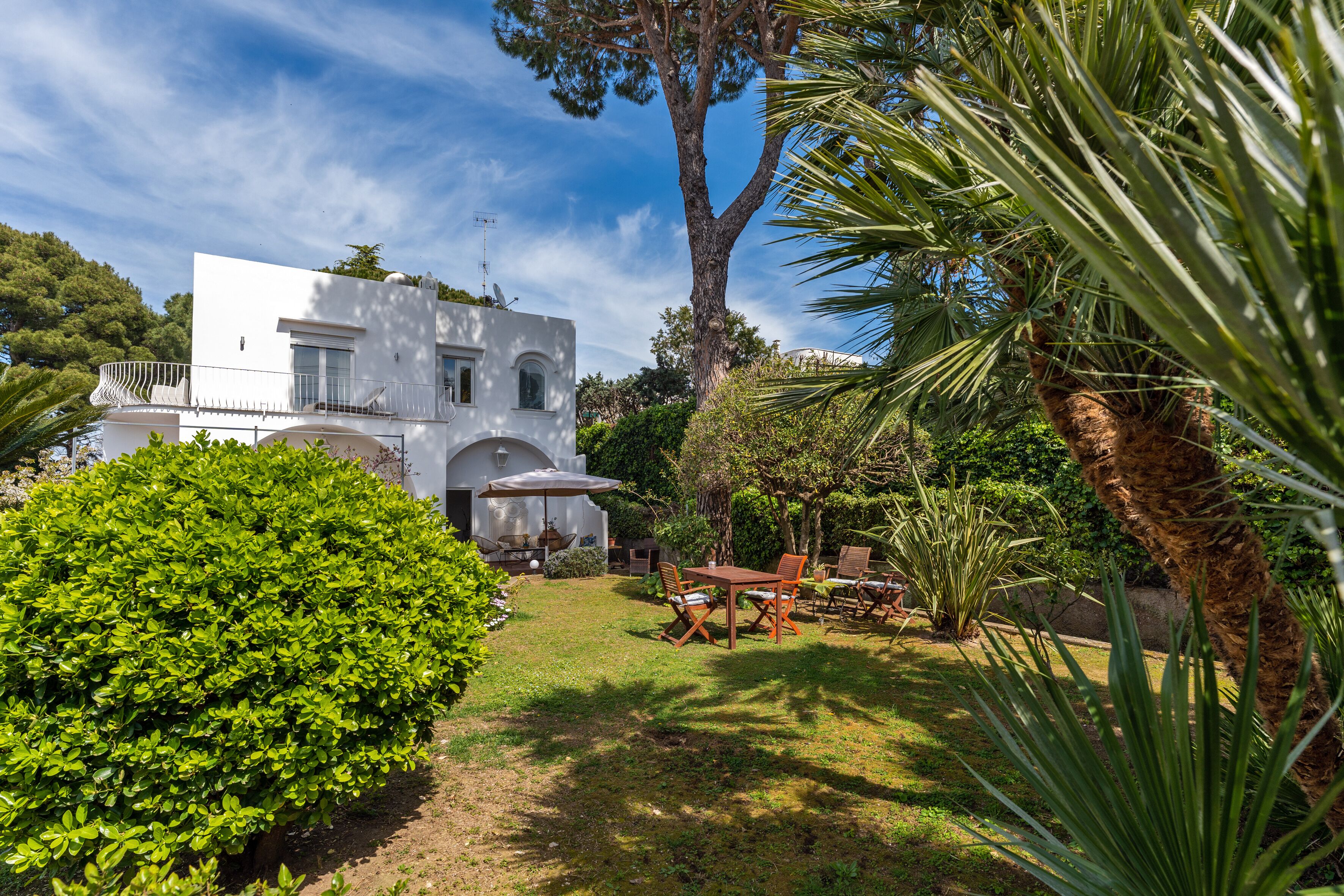 Une villa blanche dotée d’un patio couvert, entourée d’une végétation luxuriante et d’un grand arbre.