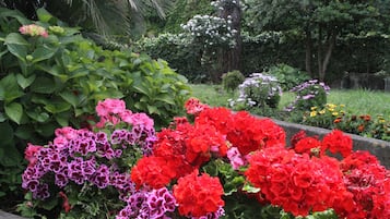 Vườn