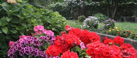 Jardin