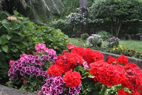Jardín