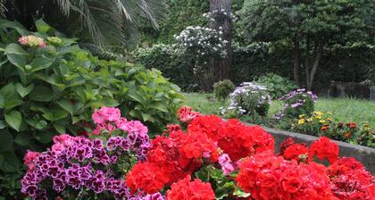 B&B Il Sogno
