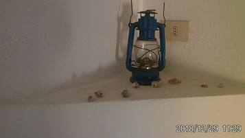 A blue lantern with a glass enclosure on a white wall, next to a power outlet.