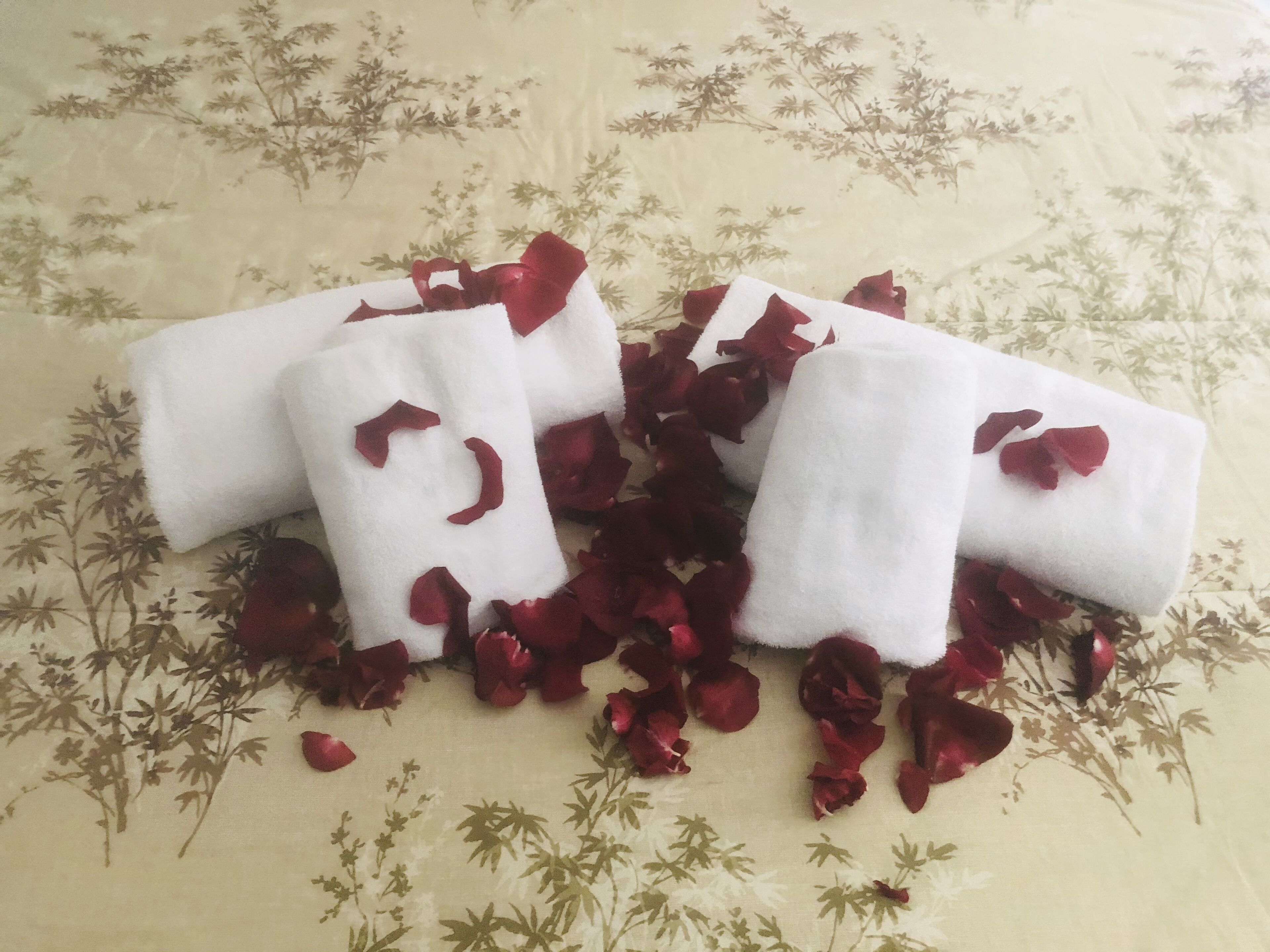 Foto - La casa di Nataly