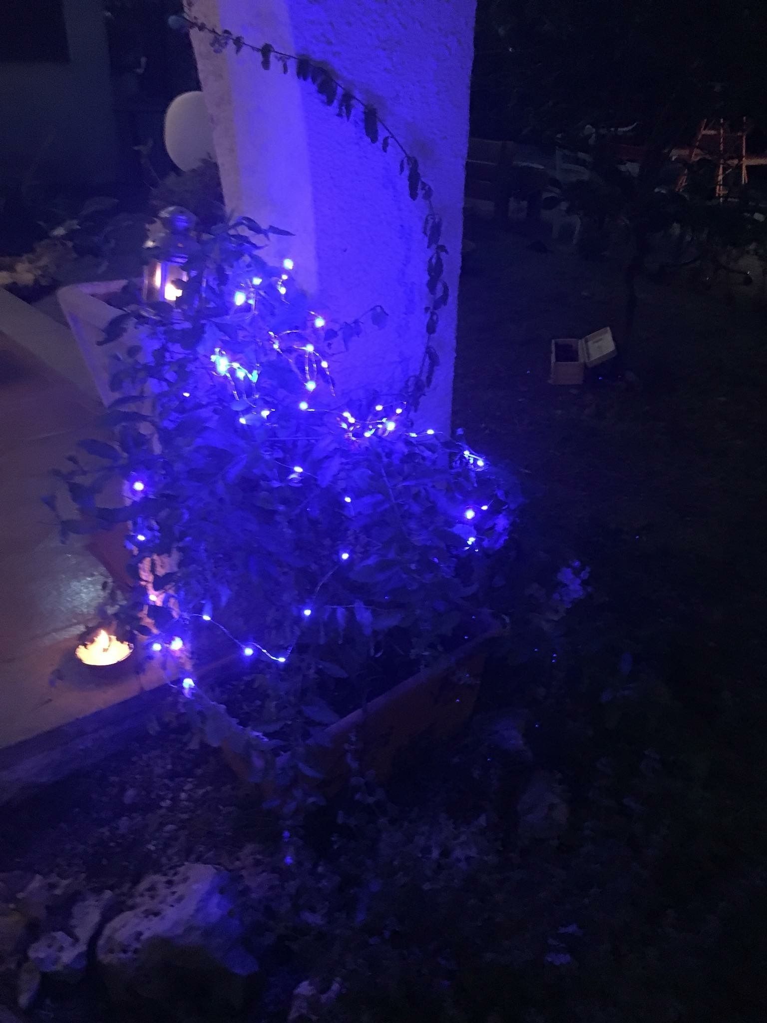 Foto - La casa di Nataly