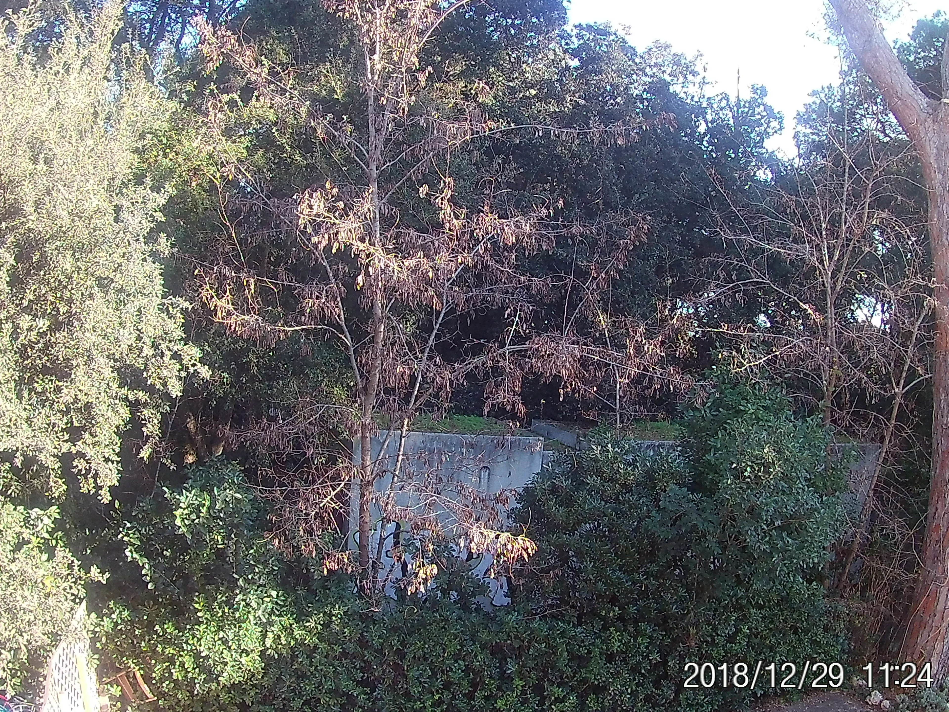 Foto - La casa di Nataly