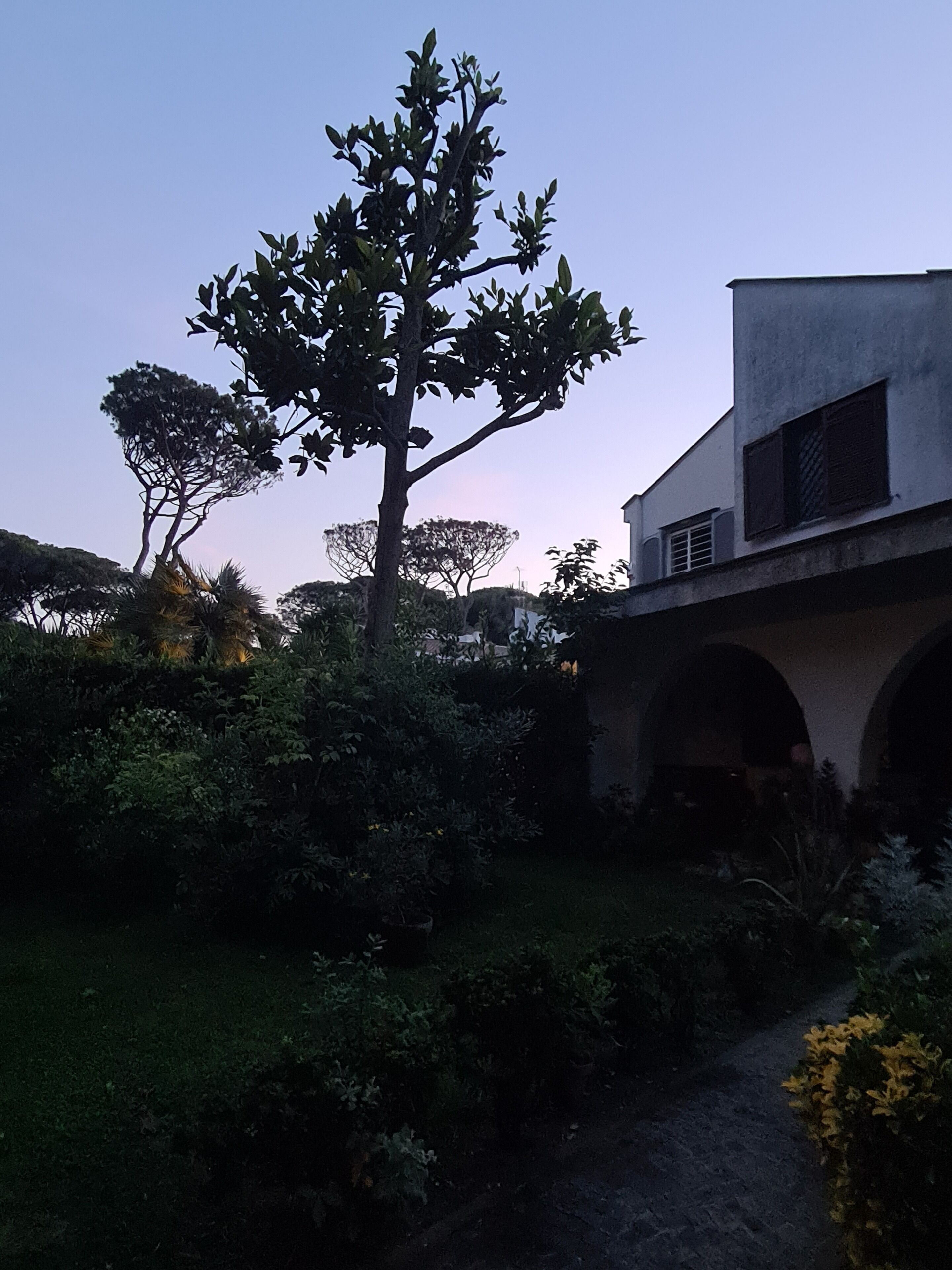 Foto - La casa di Nataly