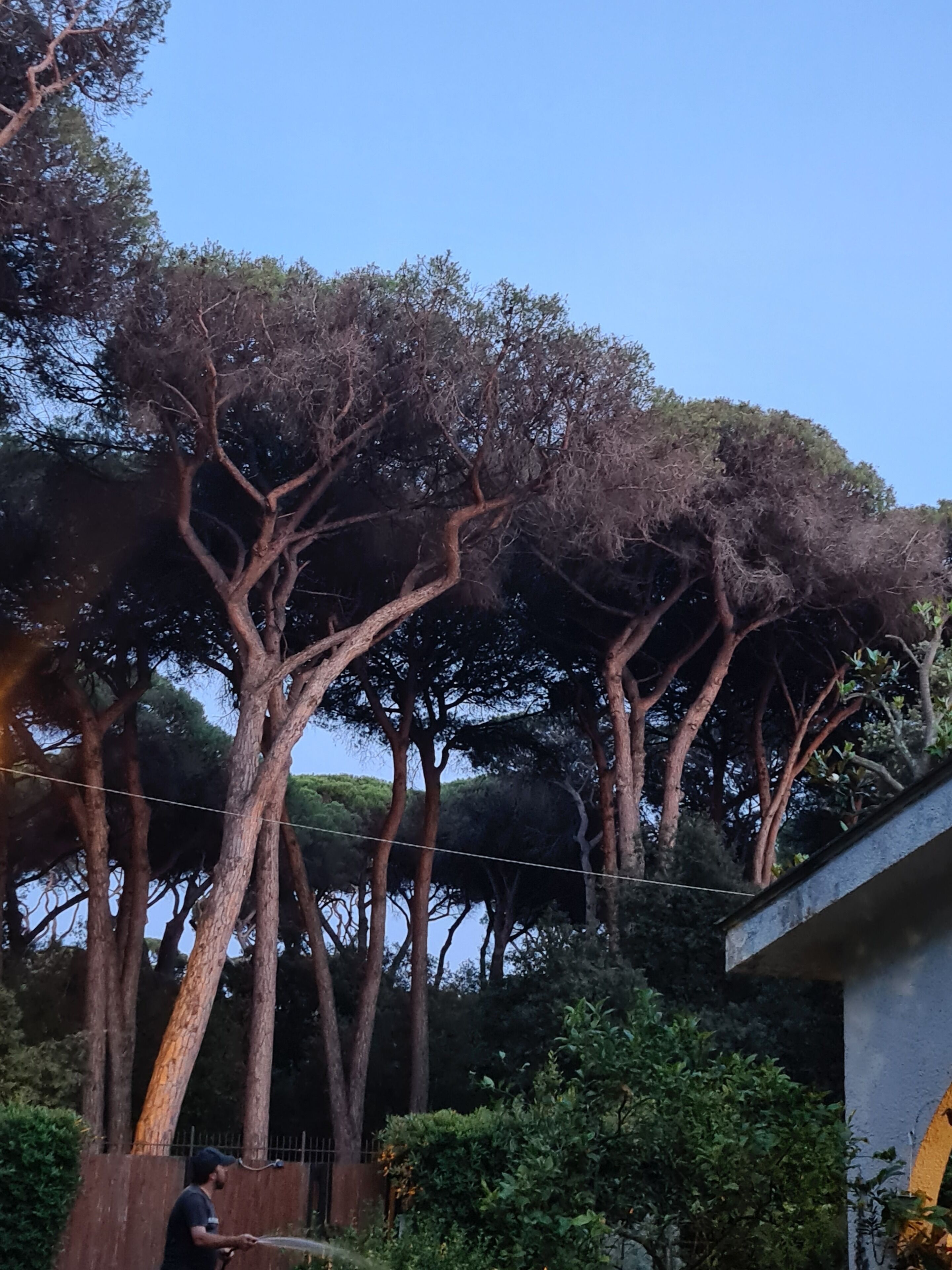 Foto - La casa di Nataly