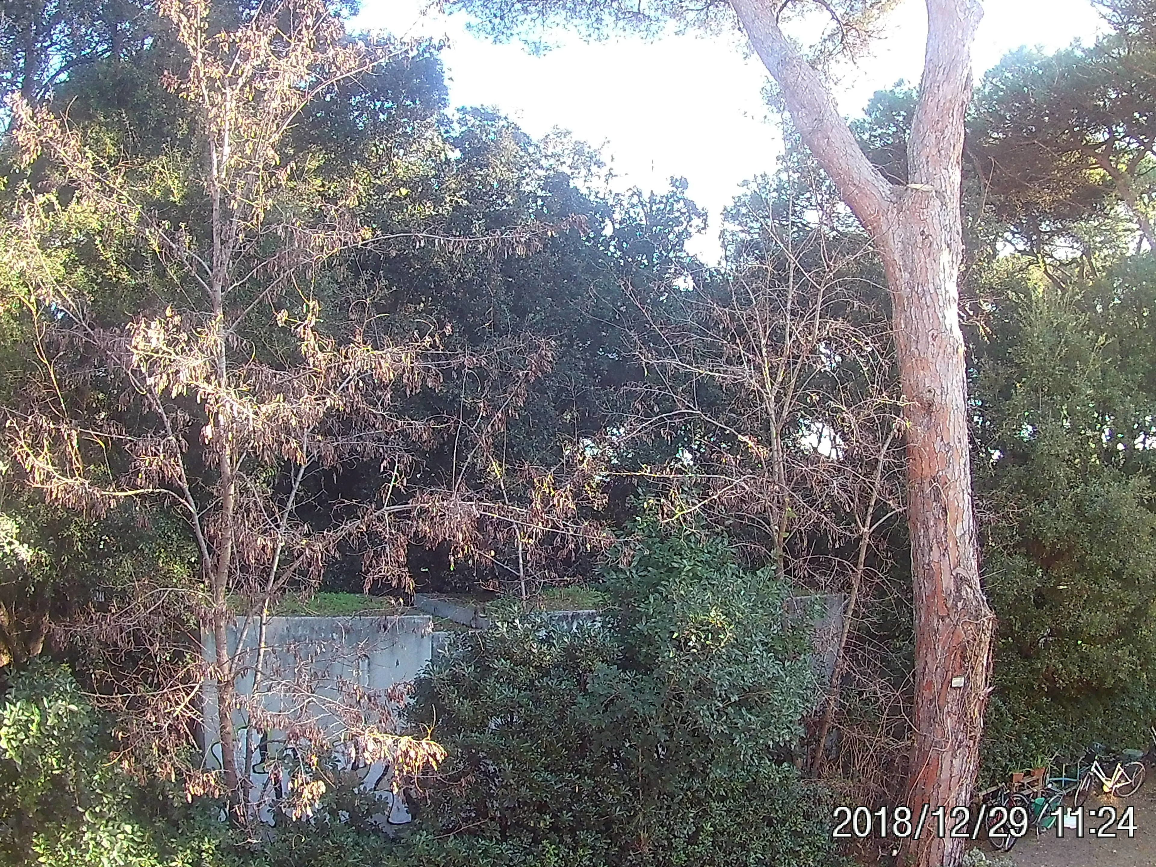 Foto - La casa di Nataly