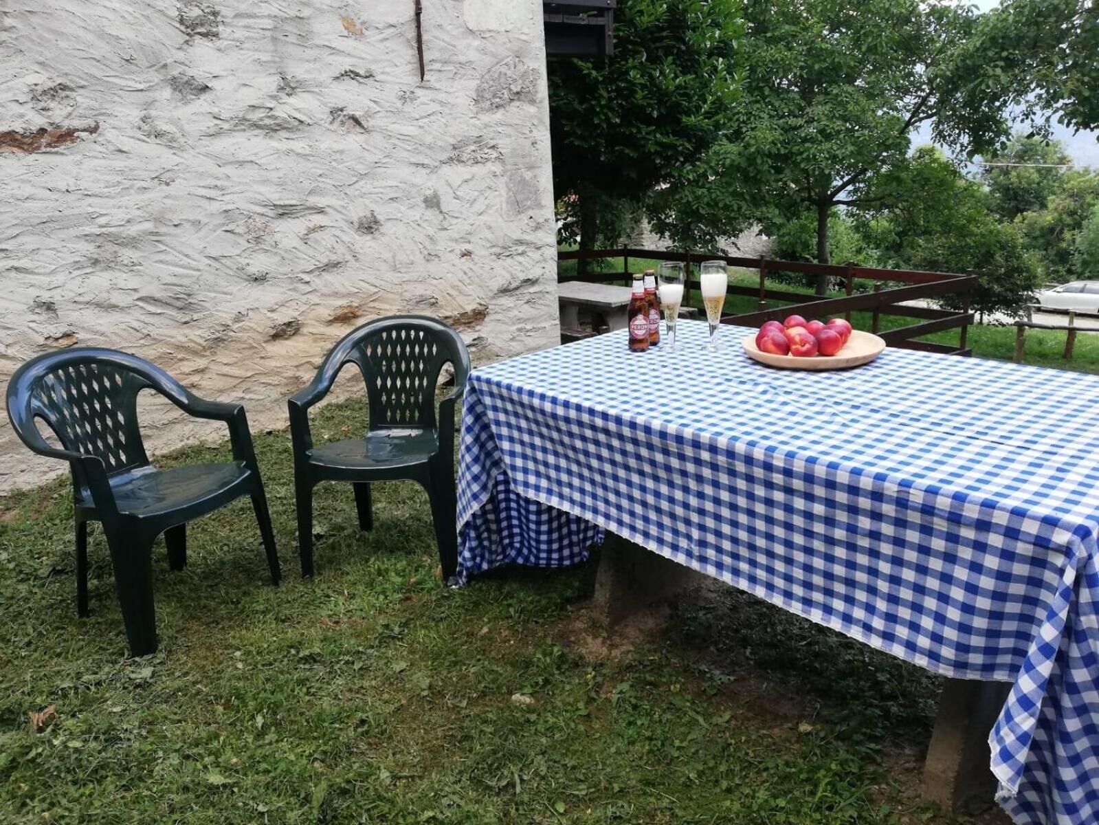 Ein Tisch im Freien mit karierter Tischdecke, zwei Plastikstühlen, einer Flasche, einem Glas und einer Obstplatte.
