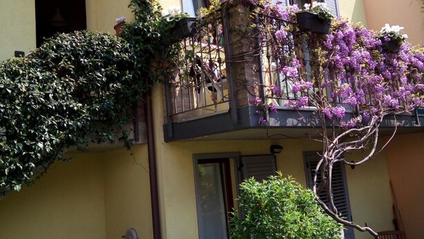 A two-story building with a balcony adorned with purple flowers and climbing plants. - B&B Lake Como Cottage (Lecco)